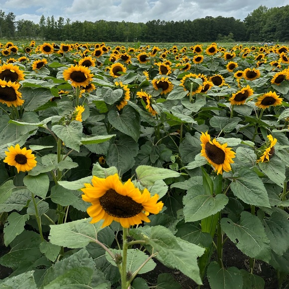 WELCOME TO LOVE, LAUREL CLOSET! - Picture 14 of 16